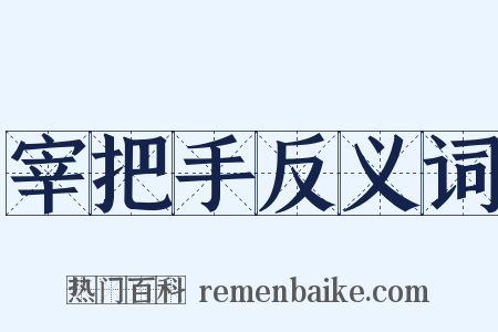 宰把手反义词是什么意思的图片
